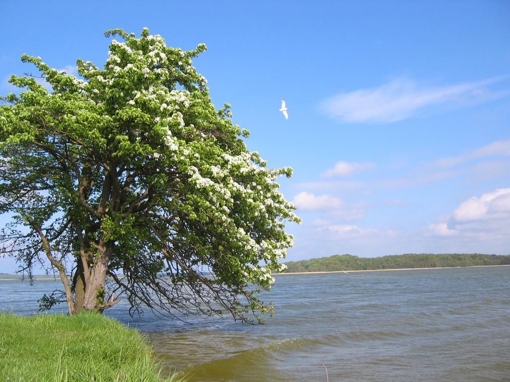 Apartment Mahlke Stedar Zewnętrze zdjęcie